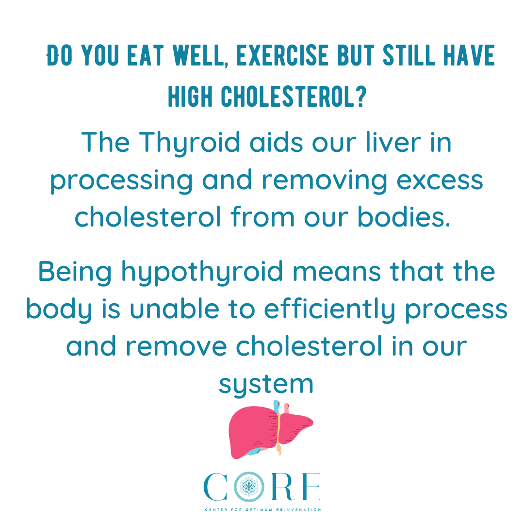 The link between Hypothyroidism and high cholesterol levels CORE
